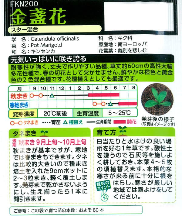 園芸ネット プラスのキンセンカ（金盞花）：スター 混合 2袋セット[秋・春まき 草丈60cm 切花に タキイ 花タネ]｜アングル2