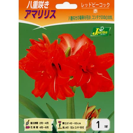 �庬/���ޥ�ꥹ����åɥԡ����å�1���Ȭ�ź餭���ء�