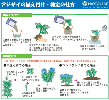 青アジサイの土5リットルと青アジサイの肥料500gのセット