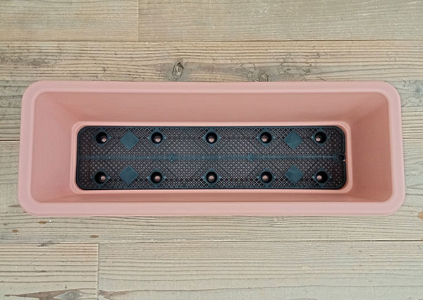 �ۡ���ץ�󥿡�65TR*