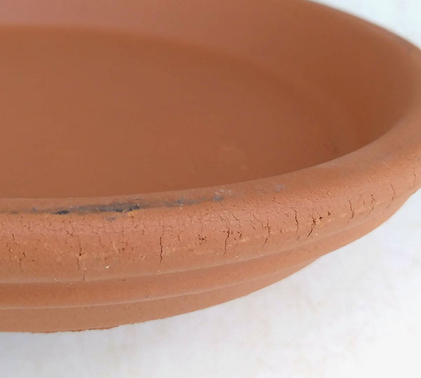 �ԥ��åȡʥ����ꥢ��ƥ饳�å��ѥ���������15cm 5�ĥ��å�