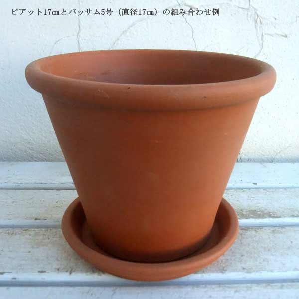 �ԥ��åȡʥ����ꥢ��ƥ饳�å��ѥ���������17cm 4�ĥ��å�