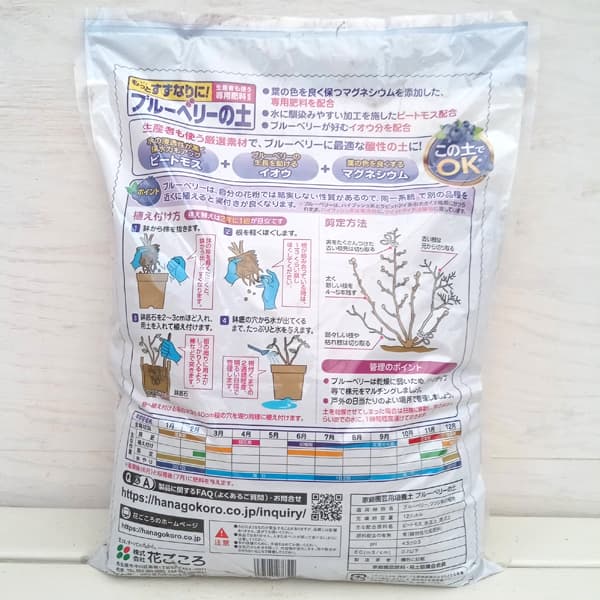 �֥롼�٥꡼����12��åȥ����� 2�ĥ��å�