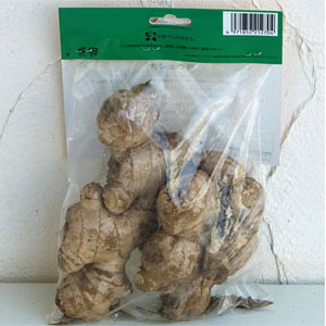 野菜の苗/ショウガ（種ショウガ）：大ショウガ500g入り