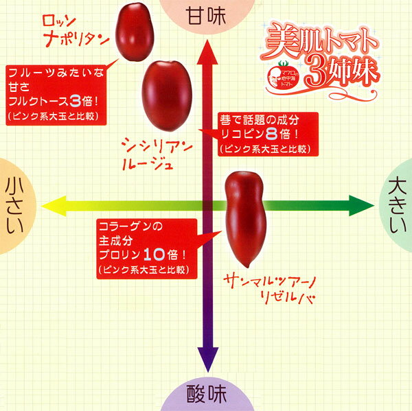 野菜の苗/イタリアントマト：ロッソナポリタンとシシリアンルージュ自根苗の黄金比...