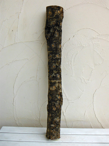 ��ڤ���/[����̵��]�ۥ����󥰡ʤ��������ۥ��ڥ����ݴ���90cm��4�ܥ��å�