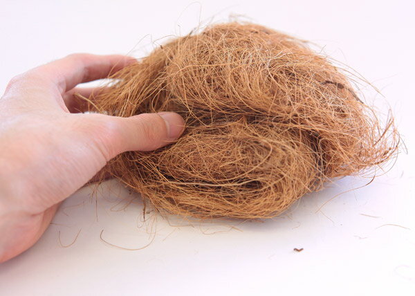 �ʤ櫓�����ò��˥��顼�䥷���ݡ��� 100g����