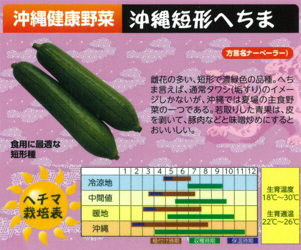 野菜の苗/ナーベラー（食用ヘチマ）：沖縄短形へちま自根苗3号ポット 6株セット