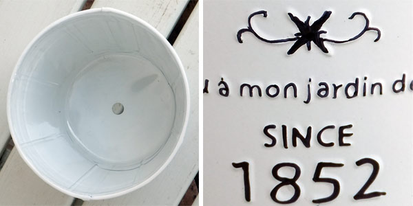 ���տ�ʪ/�ե����֥ꥭ�ݥåȡ�����������������Ω��������5��ȭ����