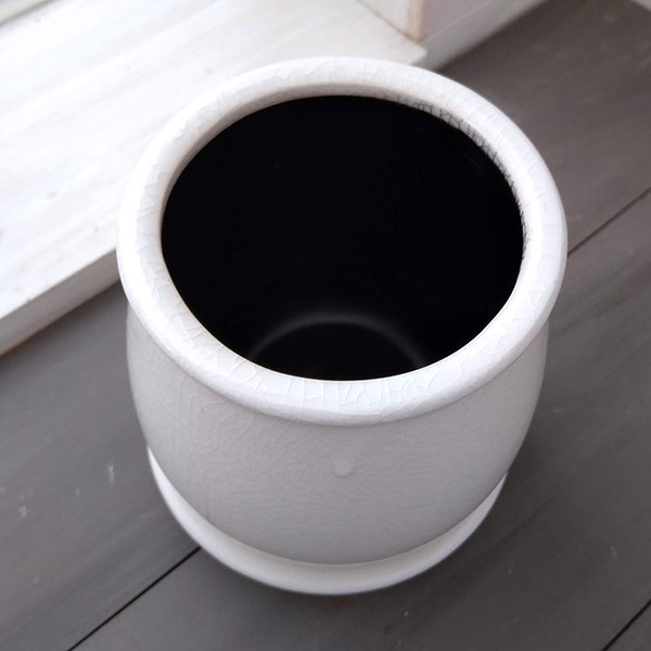 ステララウンド白S（直径11cm）・皿付