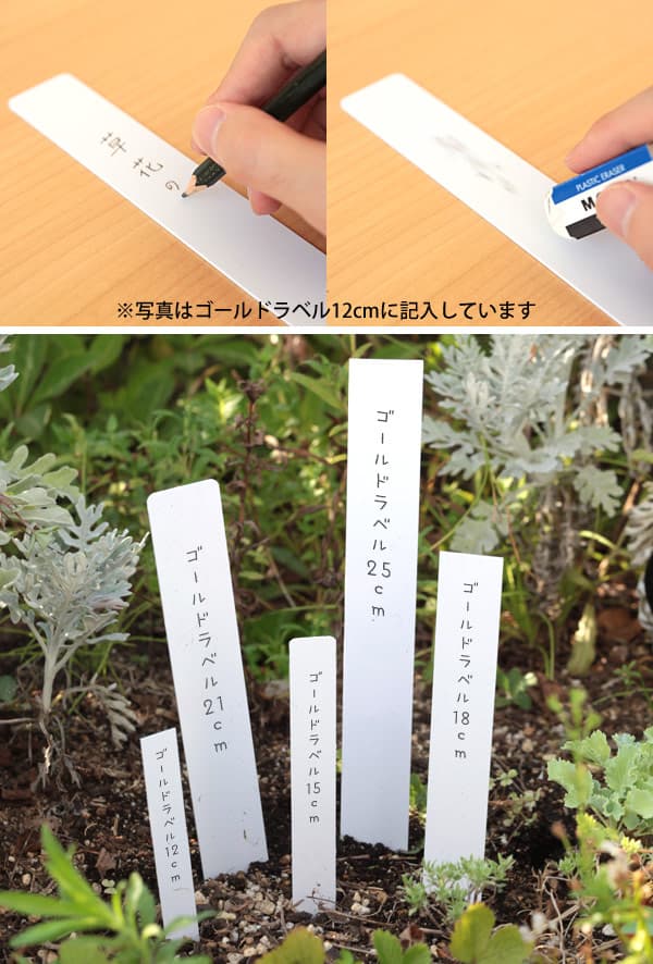 ゴールドラベル短冊型3cm×21cm 3枚（白） セット 2