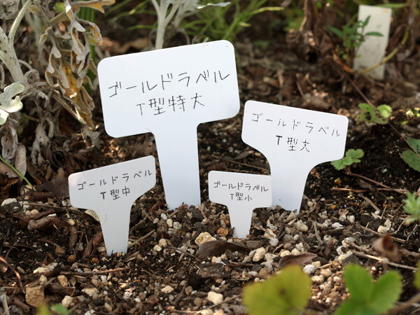 ������ɥ�٥� T����4.3cm 100����������