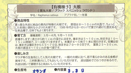 野菜の種：有機種子 大根（ブラックスパニッシュラウンド 黒丸大根）[ダイコンのタネ]