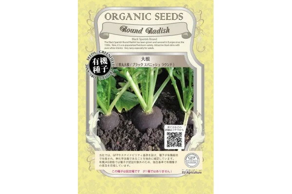 野菜の種：有機種子 大根（ブラックスパニッシュラウンド 黒丸大根）[ダイコンのタネ]