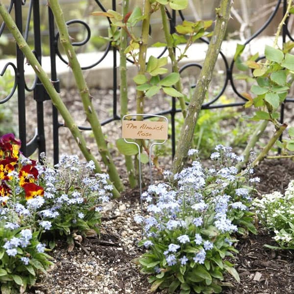 �᥿��ե���٥롧�ȡ���6����