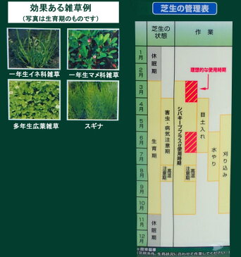 除草剤：シバキーププラスα肥料入り1kg*