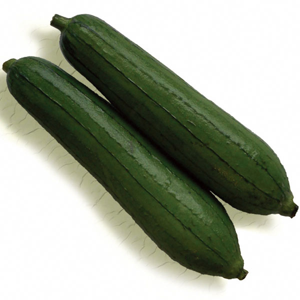 沖縄短形ヘチマ（ナーベラー）[3～7月まき 野菜タネ]