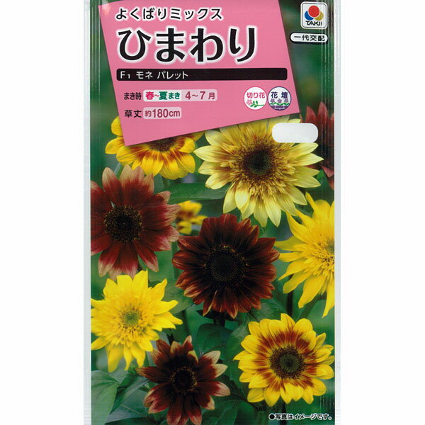 ヒマワリ：F1モネパレット[タキイ 花タネ]
