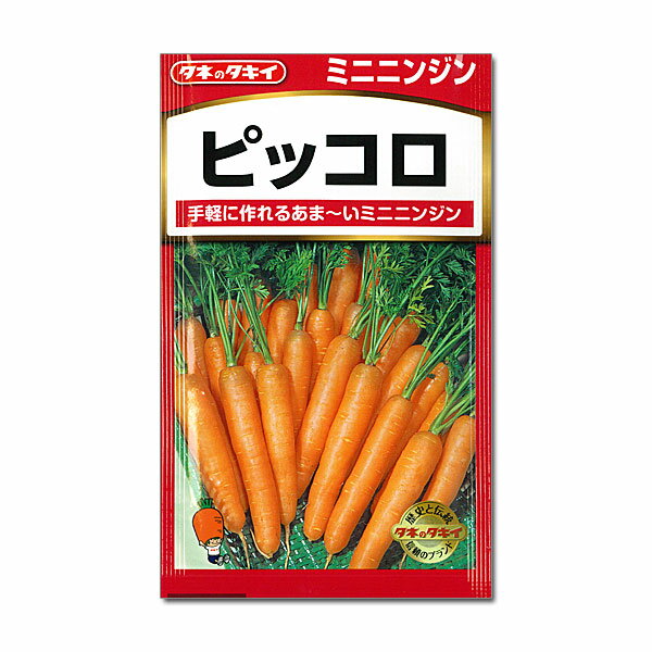 ニンジン種： ミニニンジン　ピッコロ[タキイ 野菜タネ]*