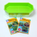 もやし・スプラウト:2種栽培セット(レッドキャベツ・マスタード(からし菜)・栽培容器)
