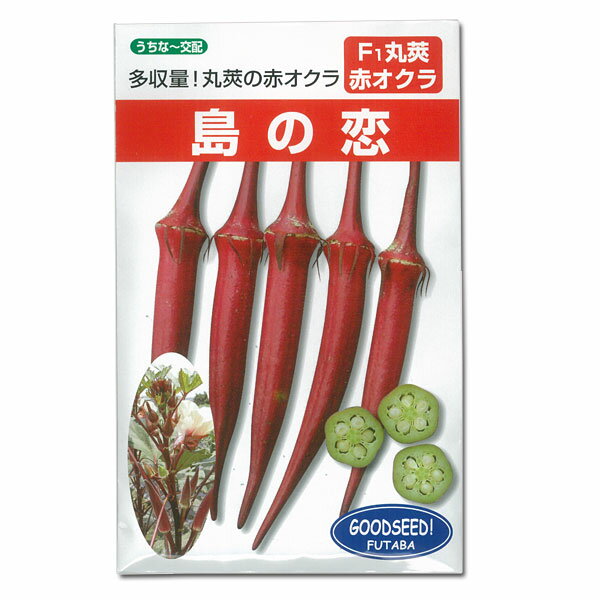 赤オクラ：島の恋[3〜7月まき 野菜タネ]のサムネイル