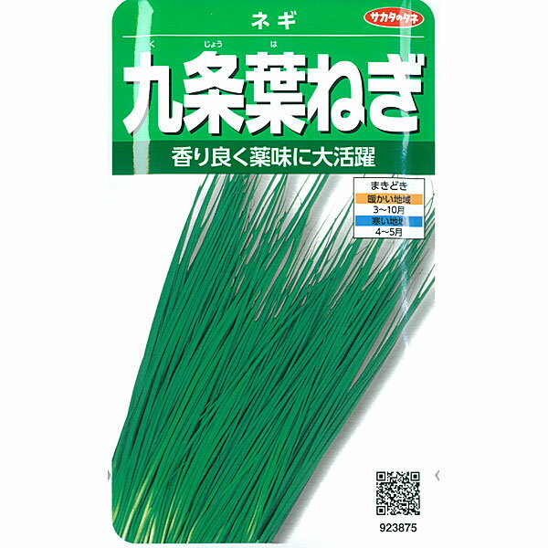 ネギ：九条葉ネギ[香り良く薬味に大活躍！ サカタ 野菜タネ]