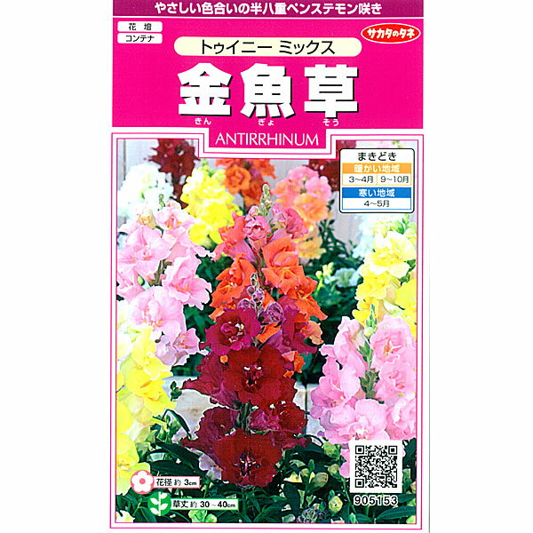 【有効期限26年05月】キンギョソウ（金魚草）：トゥイ