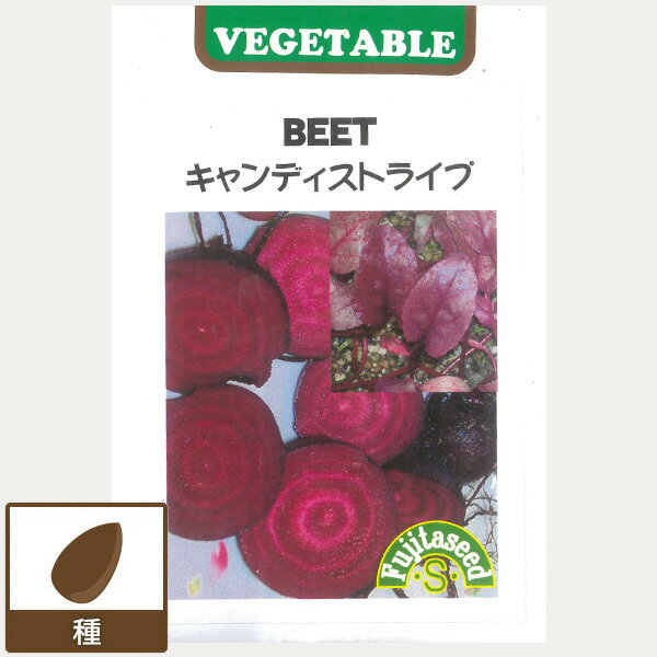 ビーツ：キャンディストライプ[野菜タネ]