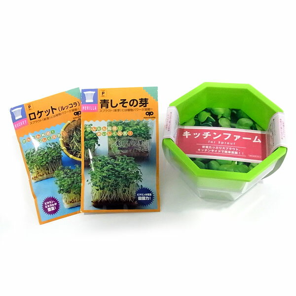 もやし・スプラウト：2種栽培セット（ロケットサラダ・青シソ・栽培容器）