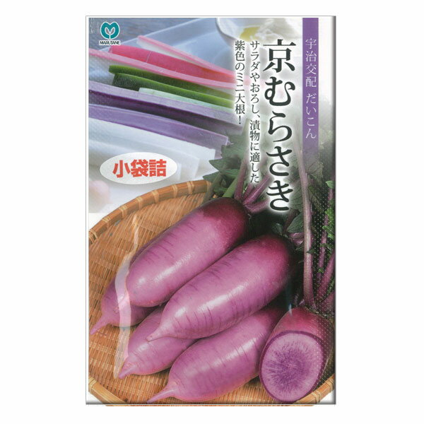 ダイコン（ミニ大根）：京むらさき