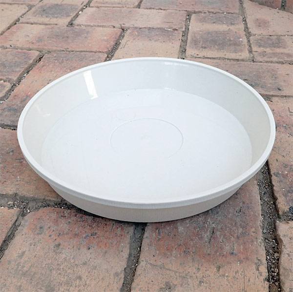 ���������ʼ������ˡ��ե쥰�顼�ץ졼�� �����ܥ꡼27����