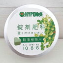 錠剤肥料:観葉植物用(10-8-8) 2個セット