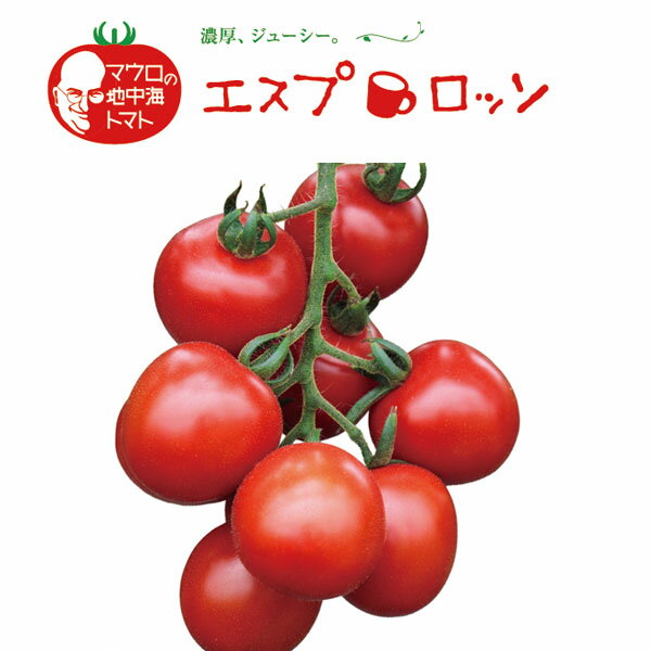 野菜の苗/イタリアントマト：エスプロッソ3号ポット 2株セット