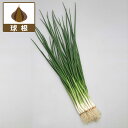 野菜の苗/ネギ:わけぎ約180g入り(野菜球根パック)