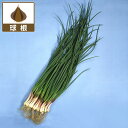 野菜の苗/ネギ:あさつき(浅葱)の球根130g入り(野菜球根パック)