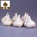 野菜の苗/ニンニク:上海種 3球入り(野菜球根パック)
