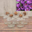 球根/クロッカス(水栽培用):紫色(フラワーレコード)5球とクロッカス ガラスポット5個のセット