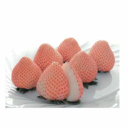 野菜の苗/イチゴ（一季なり）：ももか（桃香）3号ポット