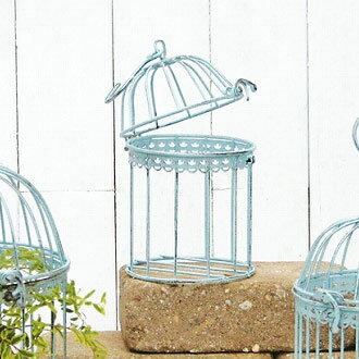 バードケージ2S／ABBG17-S10（ライトブルー）