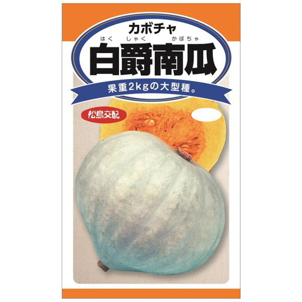 カボチャ：白爵南瓜（はくしゃくカボチャ）[2kg程にもなる大型種 野菜タネ]