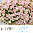 ペチュニア:サフィニアアートももいろハート5号鉢植え