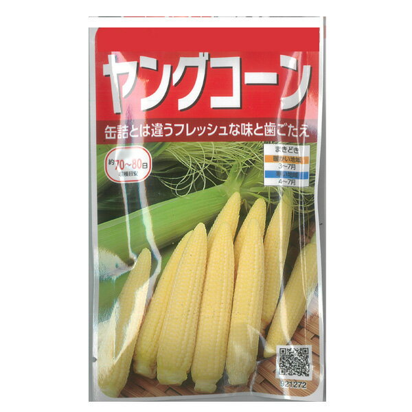 スイートコーン（とうもろこし）：ヤングコーン の種[サカタ 野菜タネ]