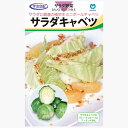キャベツ:サラダキャベツ(ミニックス40)
