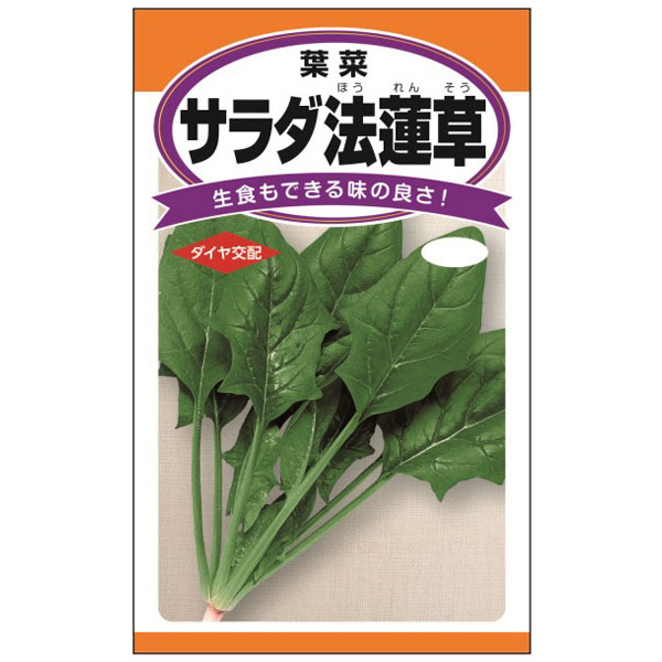 楽天園芸ネット プラス（わけあり特価）【有効期限24年04月】ホウレンソウ：サラダ法蓮草[野菜タネ]