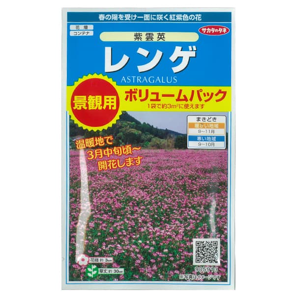 【有効期限24年05月】レンゲ（紫雲英） 景観用ボリュームパック 秋まき 花タネ