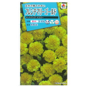 フレンチマリーゴールド：ホットパック イエロー[タキイ 花タネ]