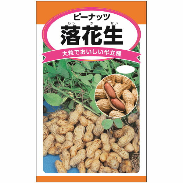 ピーナッツ：落花生（らっかせい）半立種[育てやすい大粒種 野菜タネ]