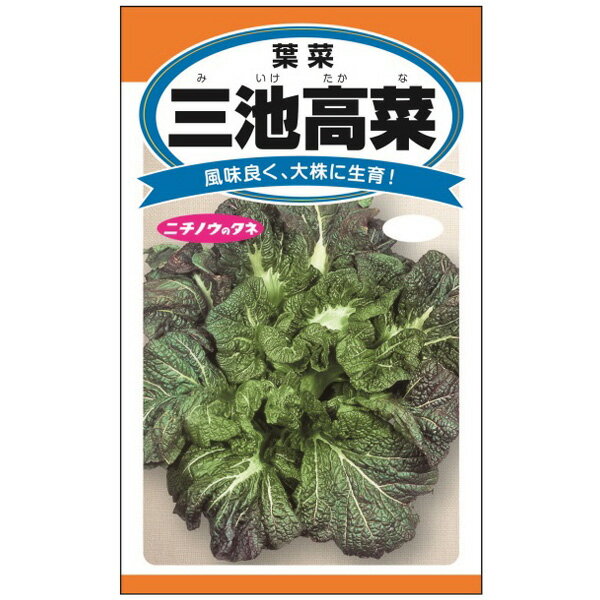 三池高菜（みいけたかな）[日本三大漬菜の一つ 大株になり風味が良い 野菜タネ]