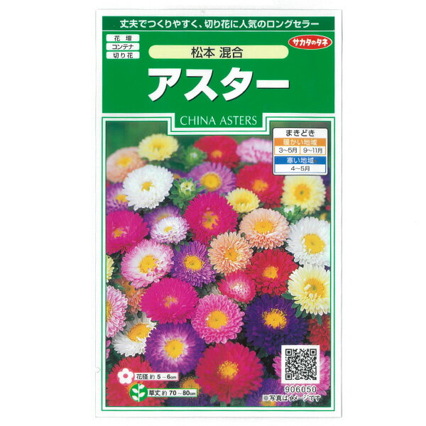 アスター：松本混合の種[サカタ 花タネ]