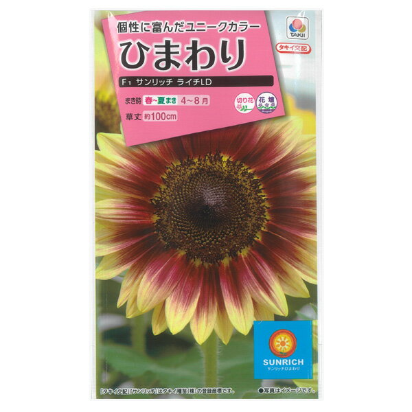 ヒマワリ：F1サンリッチライチLD[花タネ]